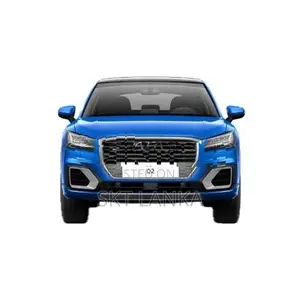 Genuine Audi Q2 2018 door handles
