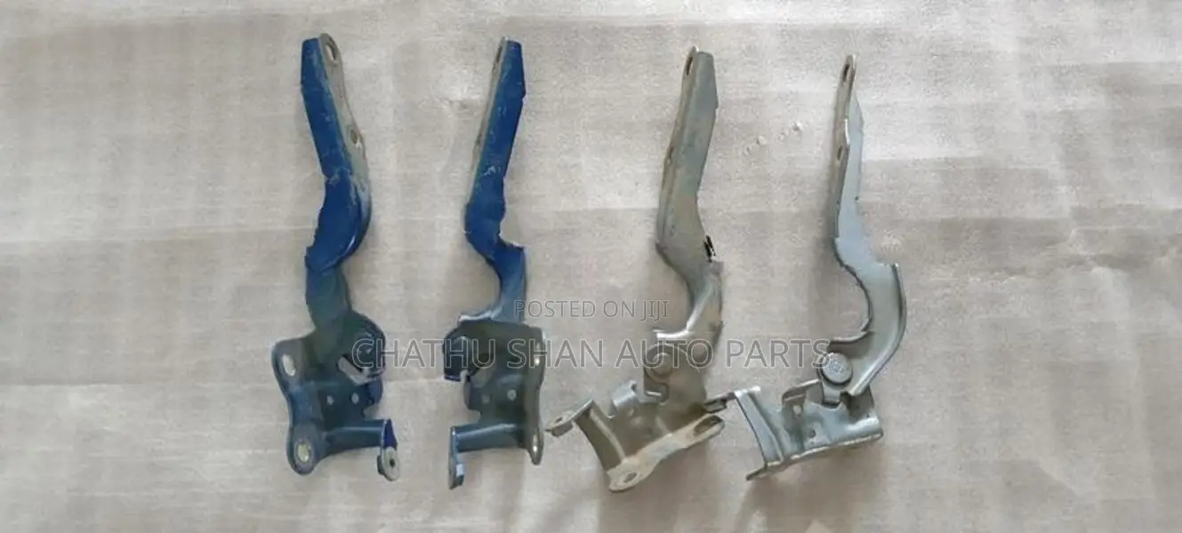 Toyota axio bonat hinges