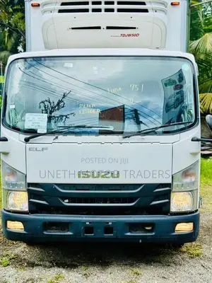 Isuzu Elf Freezer Truck 2018