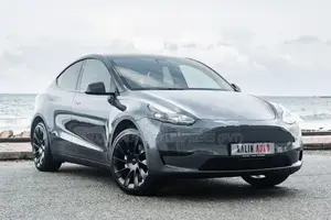 Tesla Model Y Gray 2024