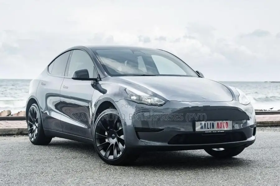 Tesla Model Y Gray 2024