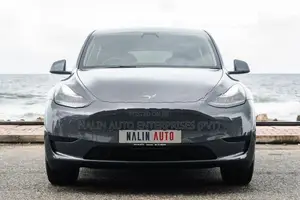 Tesla Model Y Gray 2024