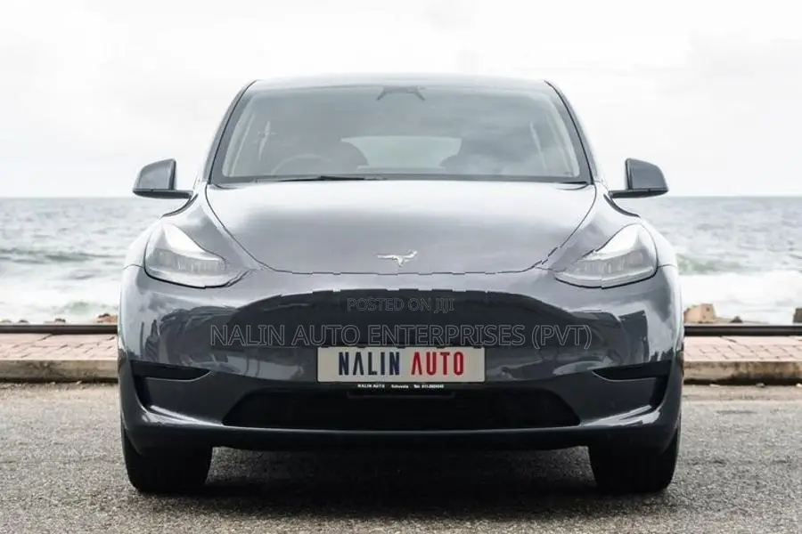 Tesla Model Y Gray 2024