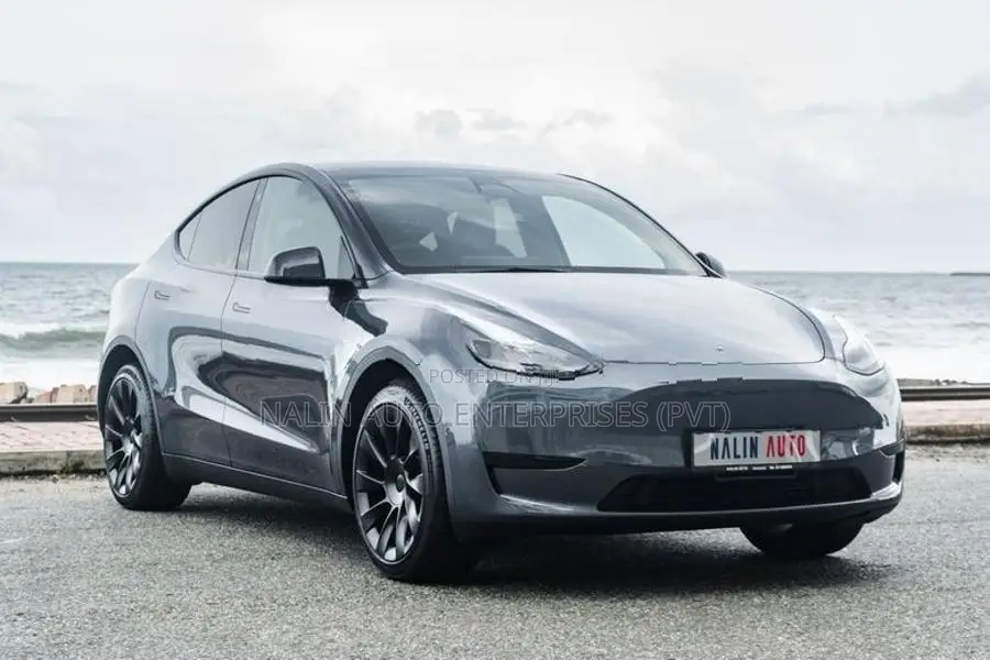 Tesla Model Y Gray 2024
