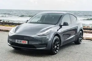 Tesla Model Y Gray 2024