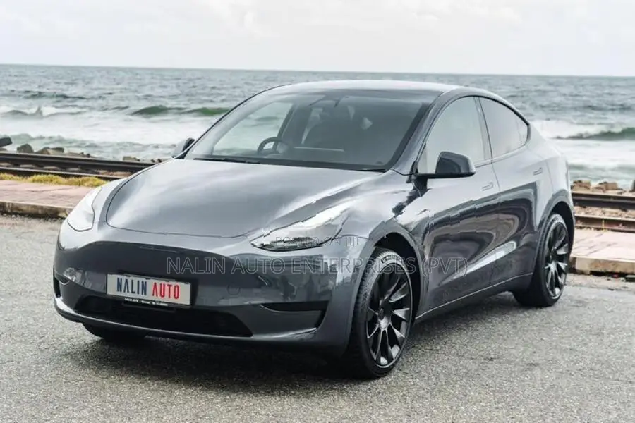 Tesla Model Y Gray 2024