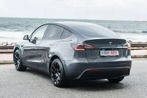 Tesla Model Y Gray 2024