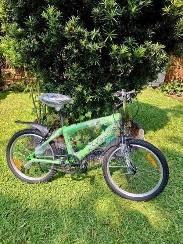 Size 20 Kids Bicycle (Brand New)