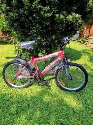 Size 20 Kids Bicycle (Brand New)