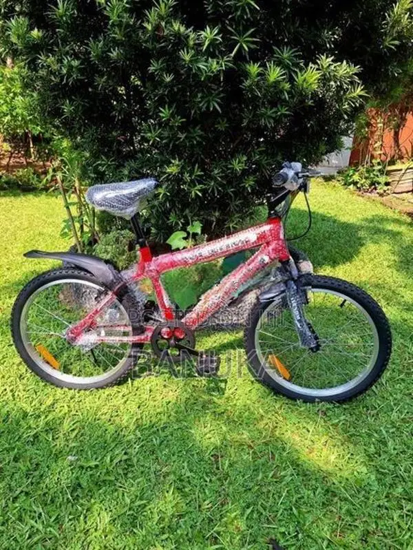 Size 20 Kids Bicycle (Brand New)