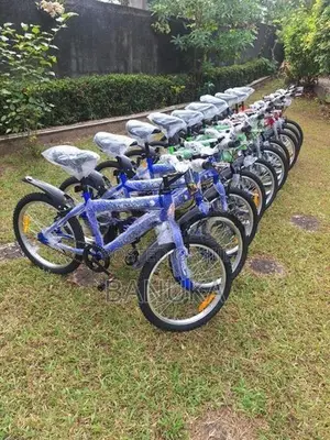 Size 20 Kids Bicycle (Brand New)