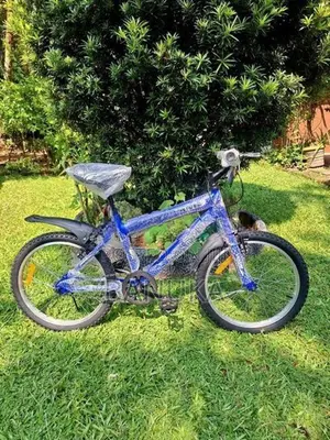 Size 20 Kids Bicycle (Brand New)