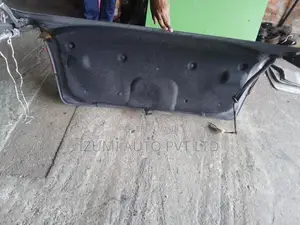 Mazda Axela Dicky Door with Hingers and Shocks