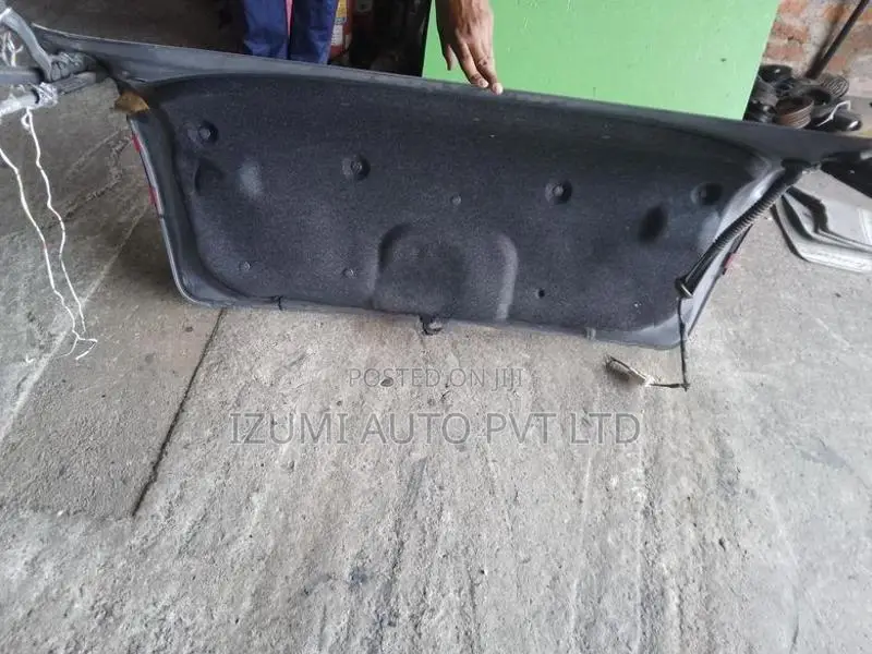 Mazda Axela Dicky Door with Hingers and Shocks