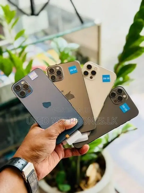 Apple iPhone 12 Pro 256GB (Used)