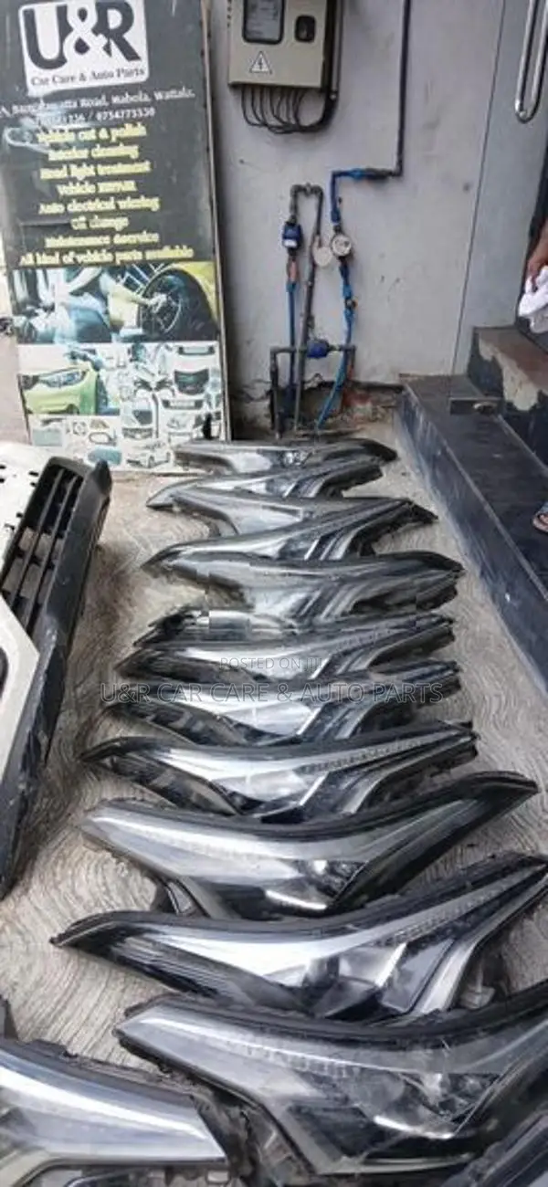 Toyota CHR Head Light