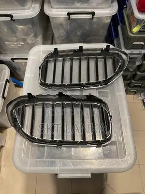 Genuine BMW 530e bumper shell grilles
