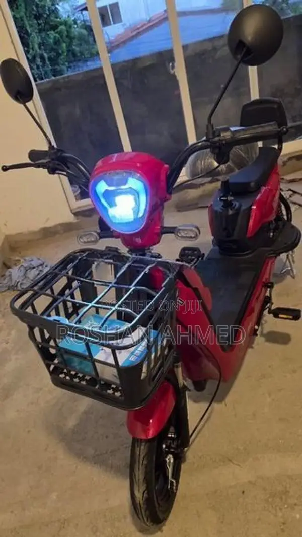 500W Electric Bike 2025
