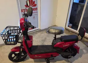 500W Electric Bike 2025