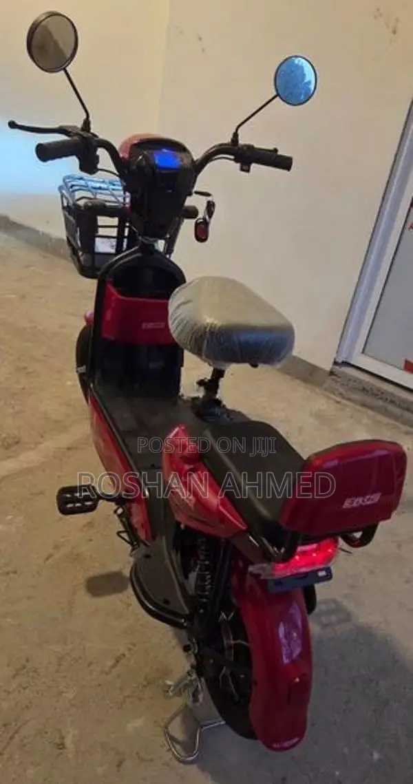 500W Electric Bike 2025