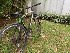 Tomahawk Bicycle