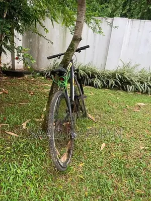Tomahawk Bicycle