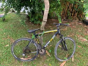 Tomahawk Bicycle