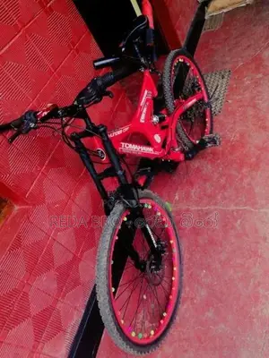 Tomahawk Thunder Cat Mountain Bicycle