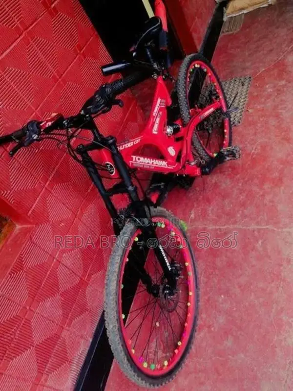 Tomahawk Thunder Cat Mountain Bicycle