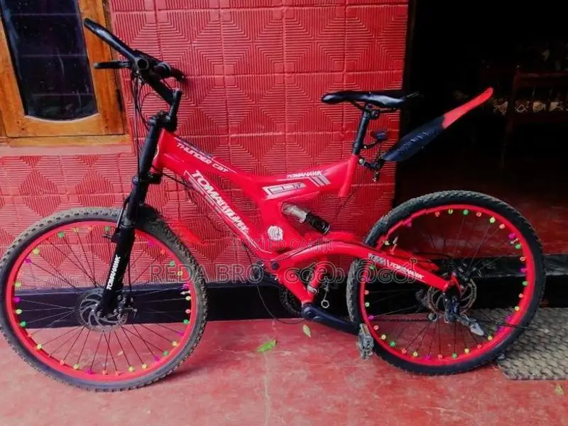 Tomahawk Thunder Cat Mountain Bicycle