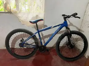 DSI Viper X 101 Bicycle