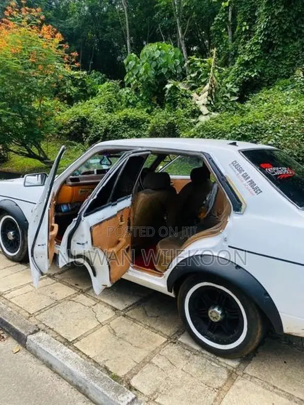 Nissan Sunny 1981
