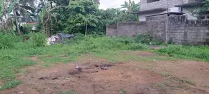 Valuable Land for Sale -Kelaniya Pethiyagoda
