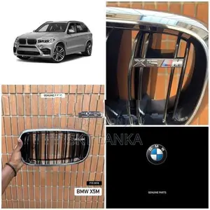 Genuine New BMW X5 2018 M Performance kidney bumper grilles