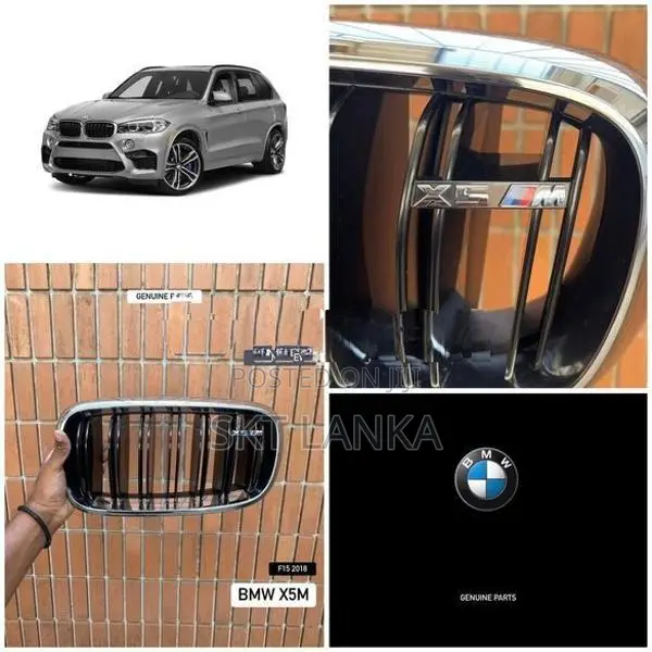 Genuine New BMW X5 2018 M Performance kidney bumper grilles