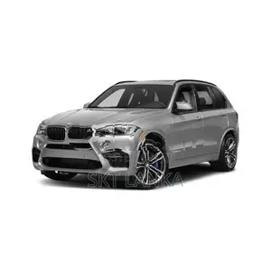 Genuine New BMW X5 2018 M Performance kidney bumper grilles