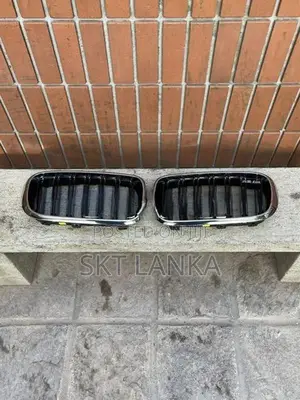 Genuine New BMW X5 2018 M Performance kidney bumper grilles