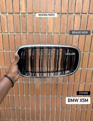 Genuine New BMW X5 2018 M Performance kidney bumper grilles