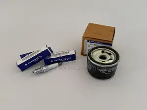 Suzuki Alto 800 K10 Spark Plug with Oil filter