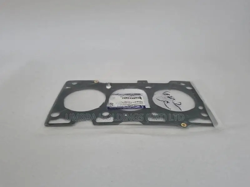 Suzuki Alto 800 Cylinder Head Gasket