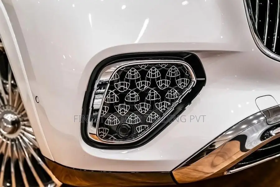Mercedes Benz GLS 600 MAYBACH First Class 2025
