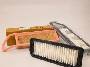 Maruti Suzuki Alto 800 Celerio Astar Air Filter