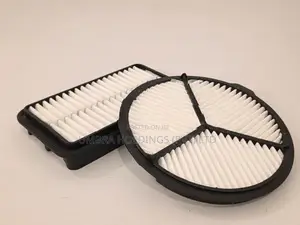 Maruti Suzuki Alto LXI 800 Air Filter