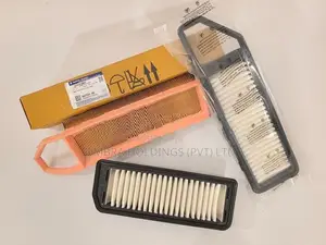 Maruti Suzuki Alto 800 Celerio Astar Air Filter