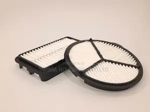 Maruti Suzuki Alto LXI 800 Air Filter