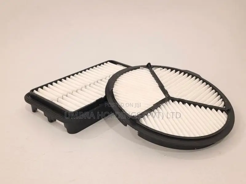 Maruti Suzuki Alto LXI 800 Air Filter