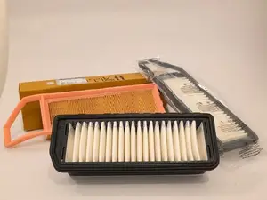 Maruti Suzuki Alto 800 Celerio Astar Air Filter