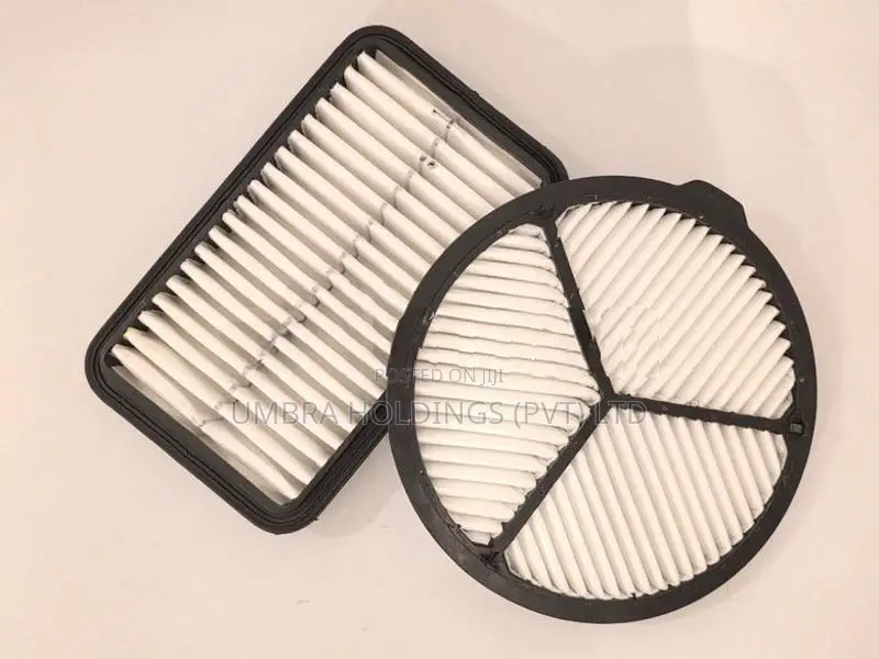 Maruti Suzuki Alto LXI 800 Air Filter