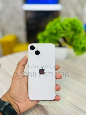 Apple iPhone 13 (Used)