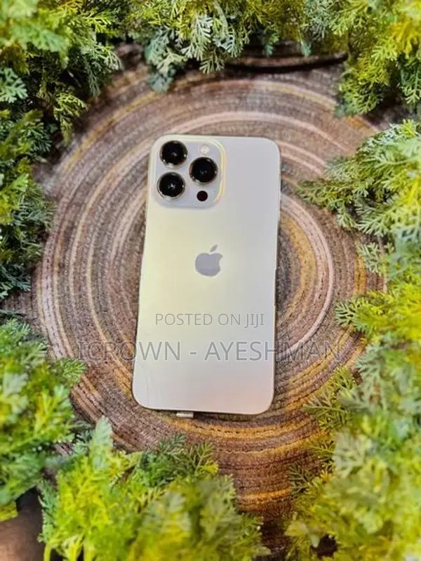 Apple iPhone 13 Pro 128GB (Used)